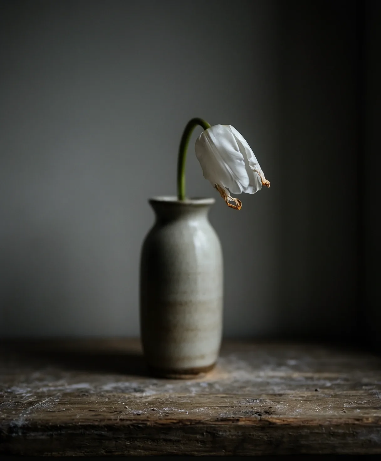 En enkel hvid blomst i dæmpet belysning